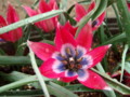 20110416154054