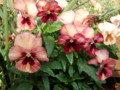 20110518065615