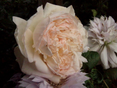 20110523054159
