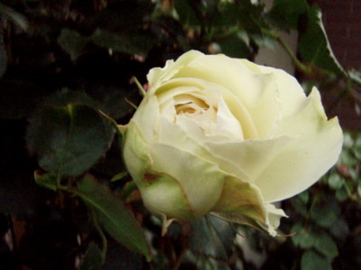 20110523054837
