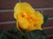 20110525163158
