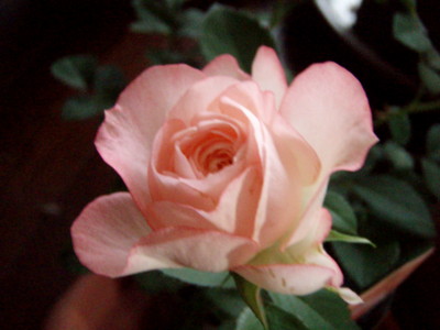 20110531071353
