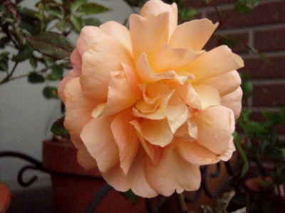 f:id:bluemoonbell:20110612171923j:image