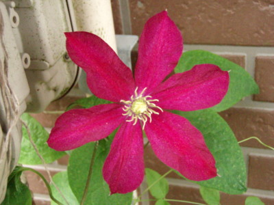 f:id:bluemoonbell:20110620053258j:image