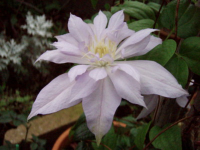 f:id:bluemoonbell:20110928060956j:image