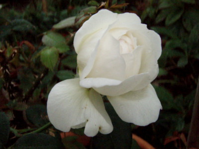 20111011062338