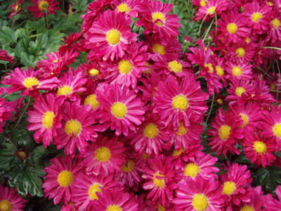 f:id:bluemoonbell:20111115062910j:image