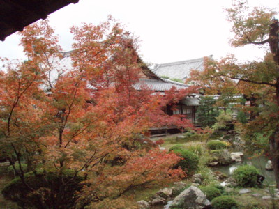 20111120131754