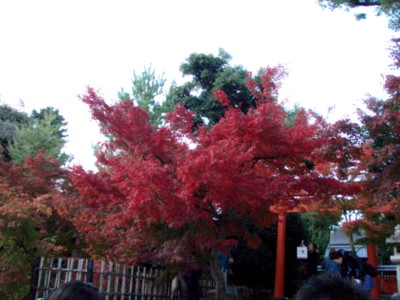 20111120152216