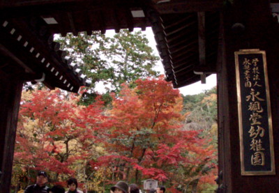 20111121120904