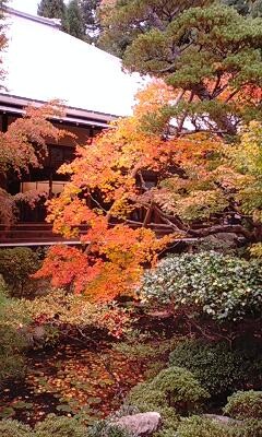 20111121123831
