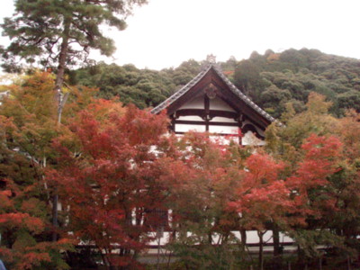 20111121131101