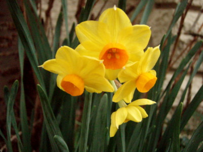 f:id:bluemoonbell:20120323070558j:image