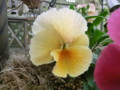 20120420145858