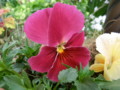 20120420145922