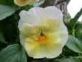 20120420145950