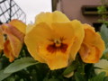 20120420150010