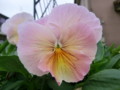 20120420150019