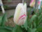 20120421072408