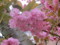 20120426115141