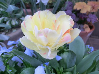 f:id:bluemoonbell:20120429104353j:image