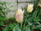 20120430070005