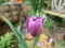 20120430070729