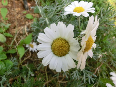 20120506064901