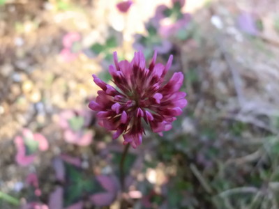 f:id:bluemoonbell:20120506065045j:image