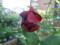 20120513064039