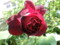 20120514072742