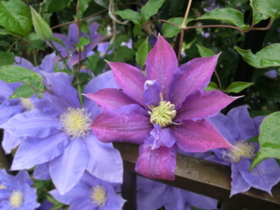 f:id:bluemoonbell:20120515063903j:image