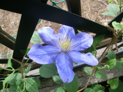 f:id:bluemoonbell:20120516135335j:image