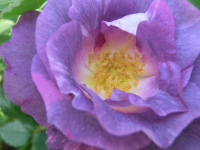 f:id:bluemoonbell:20120518120241j:image