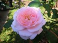 f:id:bluemoonbell:20120519072015j:image:medium