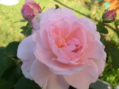 f:id:bluemoonbell:20120519072030j:image