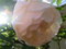 20120519072520