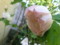 20120519072546