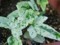 20120519072959