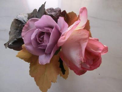 20120519164819