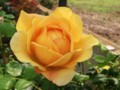 f:id:bluemoonbell:20120520062025j:image:medium