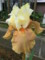 20120520062506