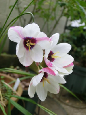 20120525123922