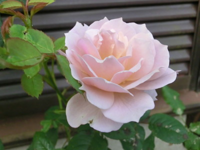 20120528053146
