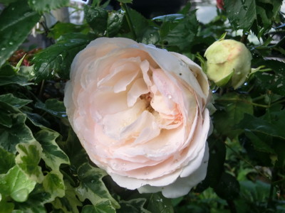 20120530064839