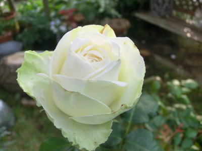 20120530170233