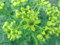 20120601082623