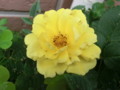f:id:bluemoonbell:20120601091346j:image:medium:left