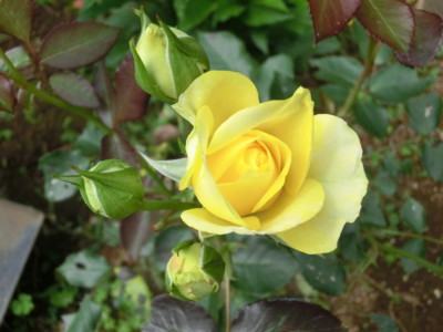 20120601091410