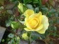 f:id:bluemoonbell:20120601091410j:image:medium:left